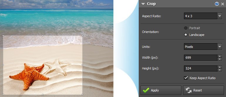 ajustando-tamanho-de-imagem-para-seo-do-site
